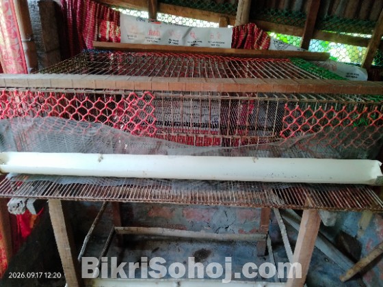 কোয়েল মুরগি কবুতরের খাচা